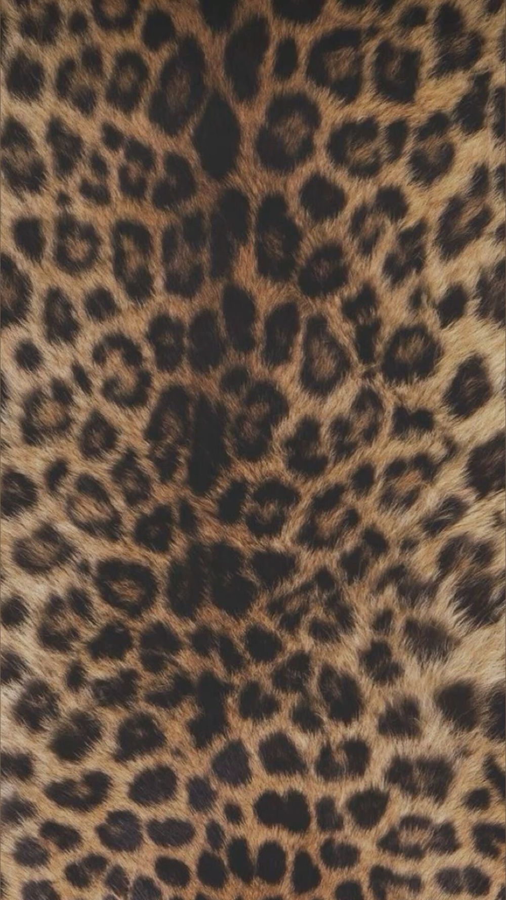 servesydnie OnlyFans profile picture