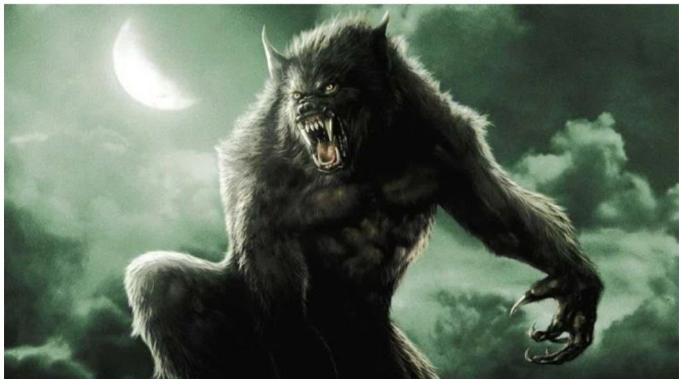 texaswerewolf18 OnlyFans profile picture