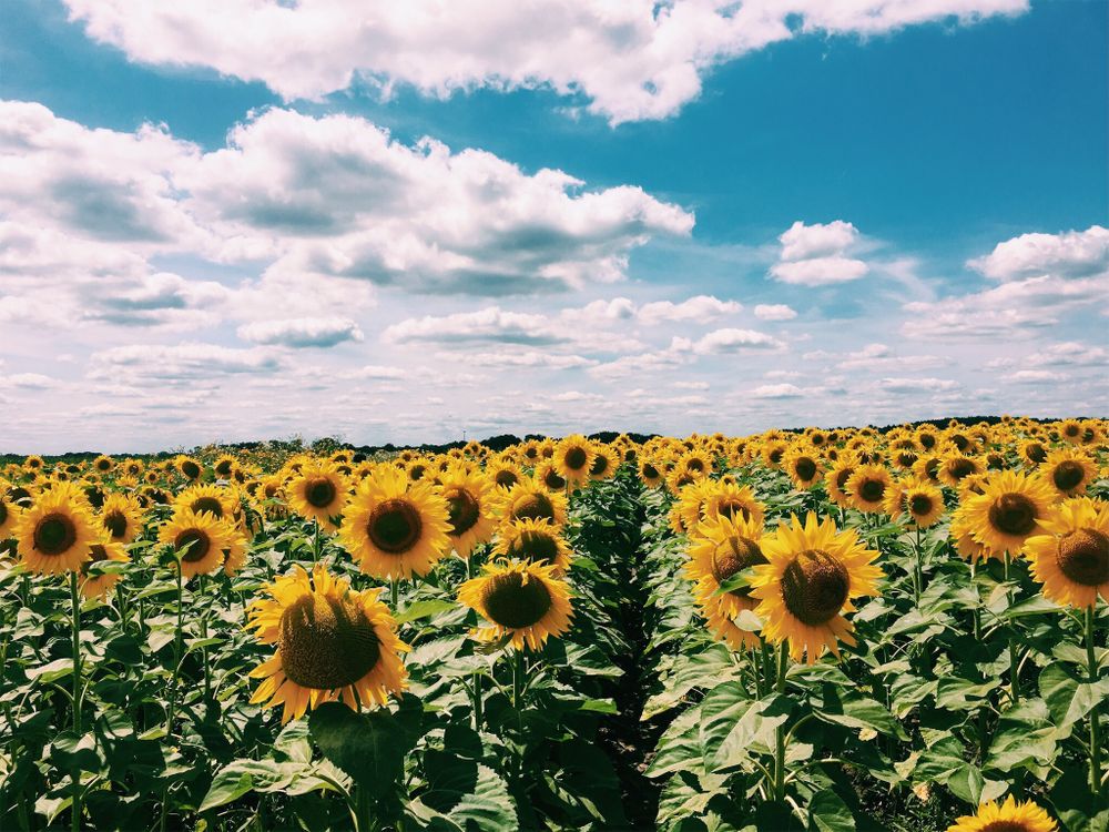 emmy_ OnlyFans - Stats, Graphs, Photos & Profile Comparisons