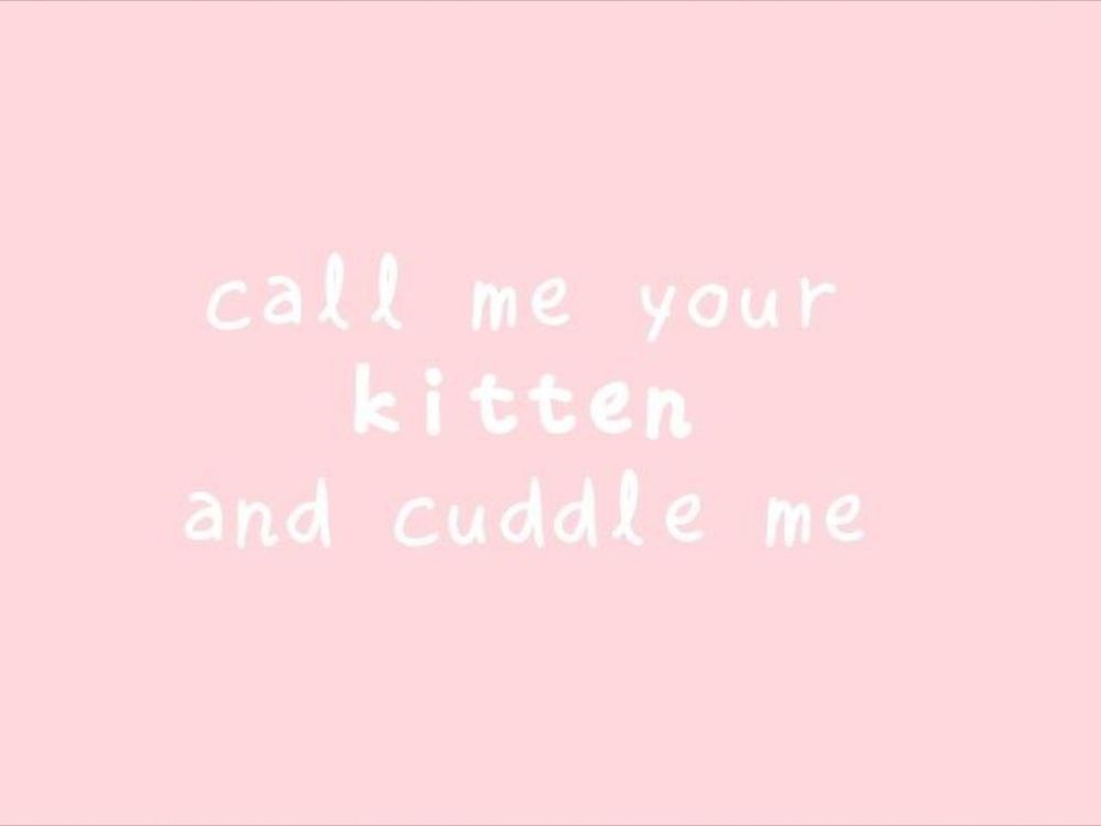 kitty_cat_mauw OnlyFans profile picture