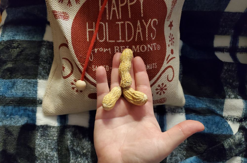 courtneysnutz OnlyFans profile picture