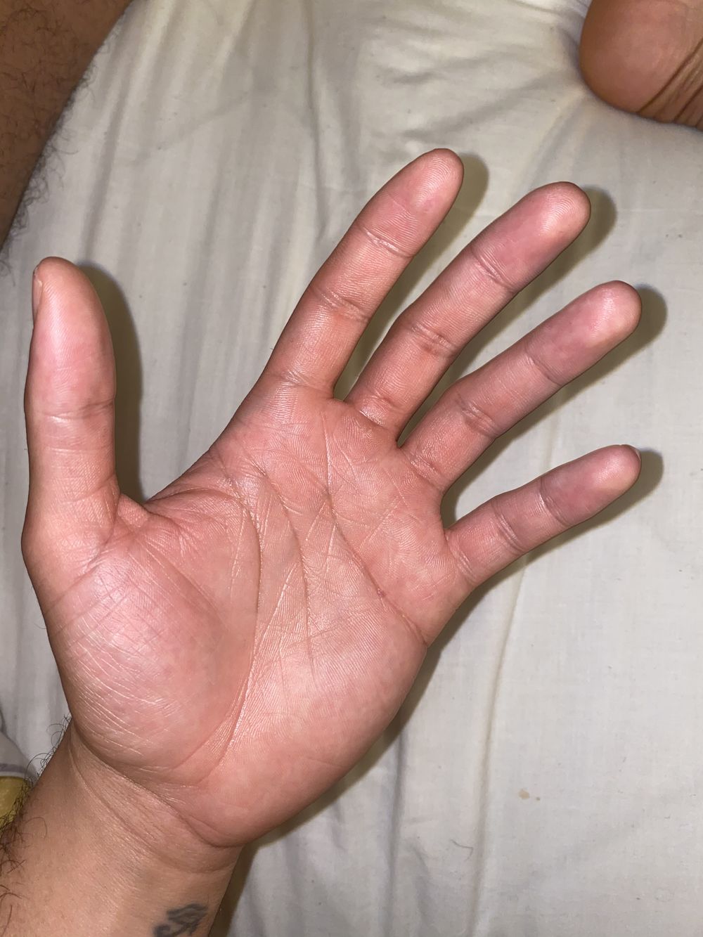 papi-chulo-x OnlyFans profile picture