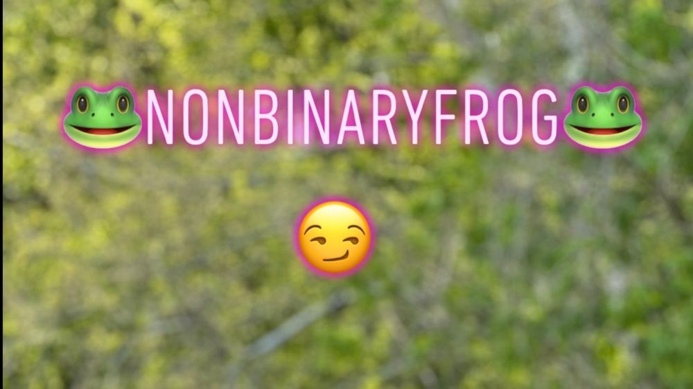 nonbinaryfrog OnlyFans profile picture