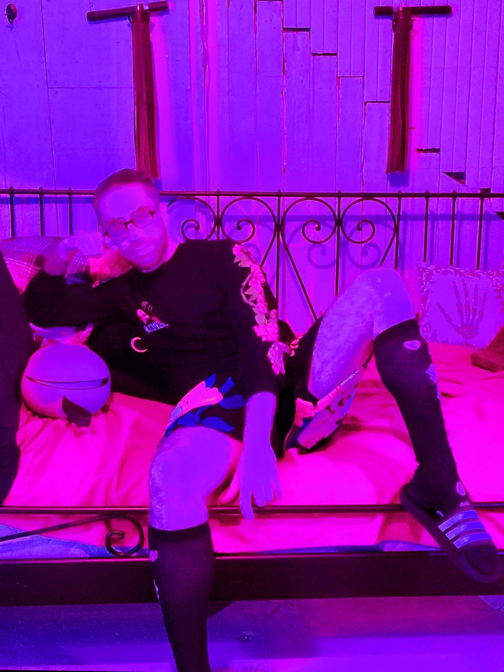 feeenix420 OnlyFans profile picture