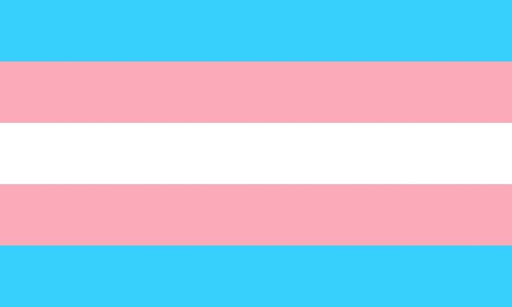trans_catgirl_luna OnlyFans profile picture