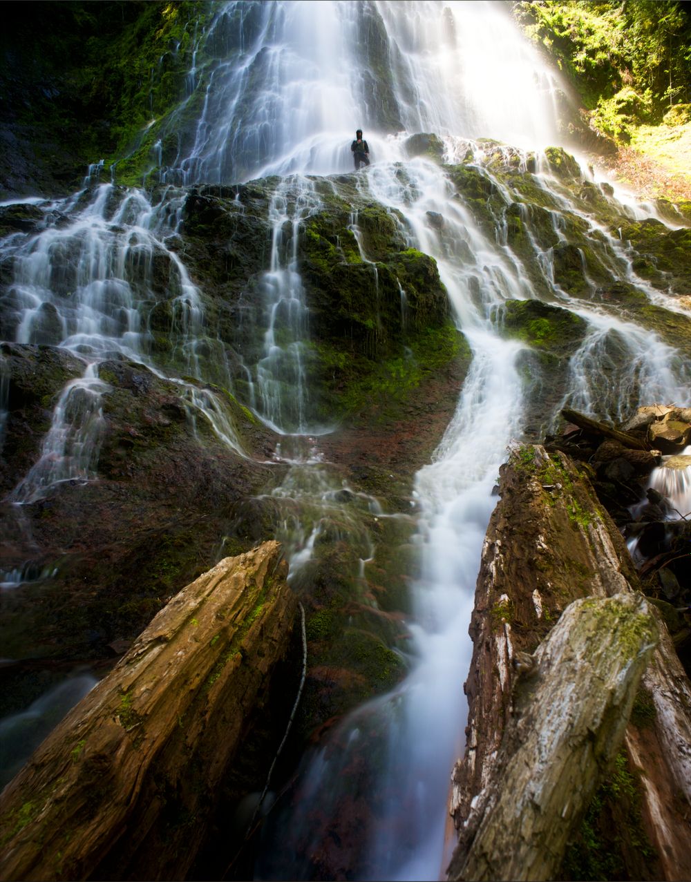 waterfallking OnlyFans profile picture