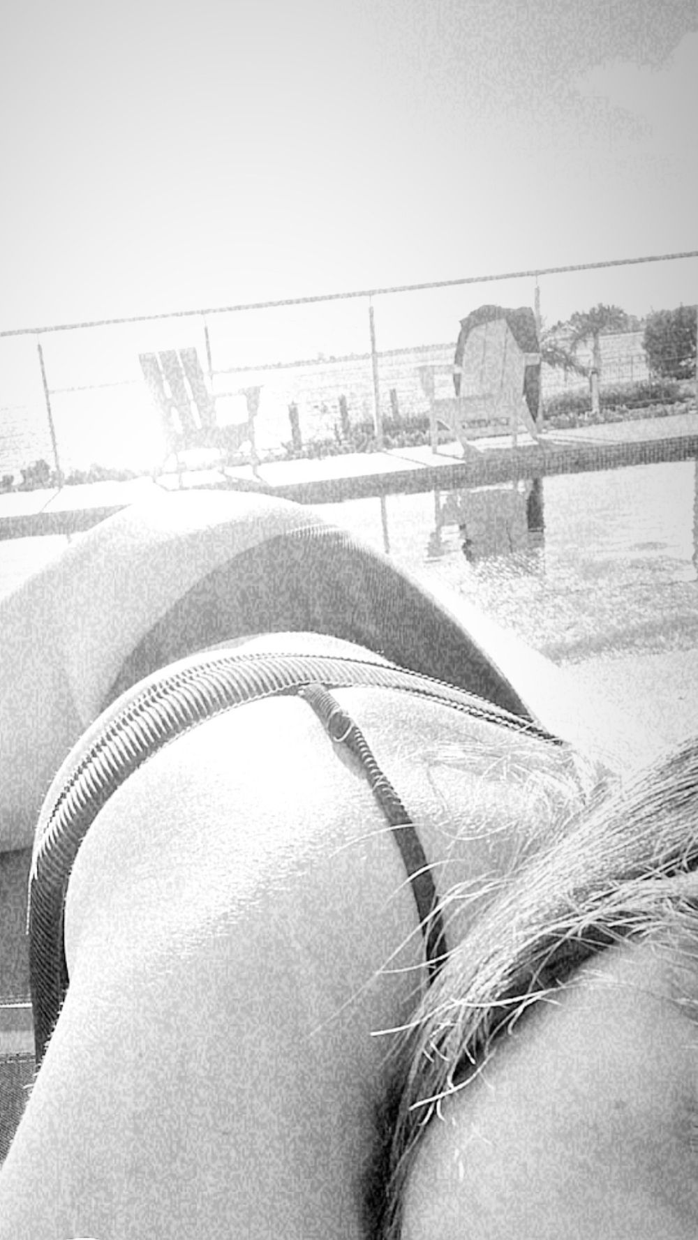 tormentaenmascarada OnlyFans profile picture
