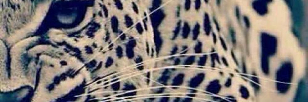 thapharrell OnlyFans profile picture