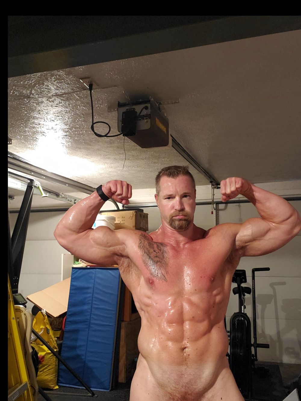 jimnastvip OnlyFans profile picture