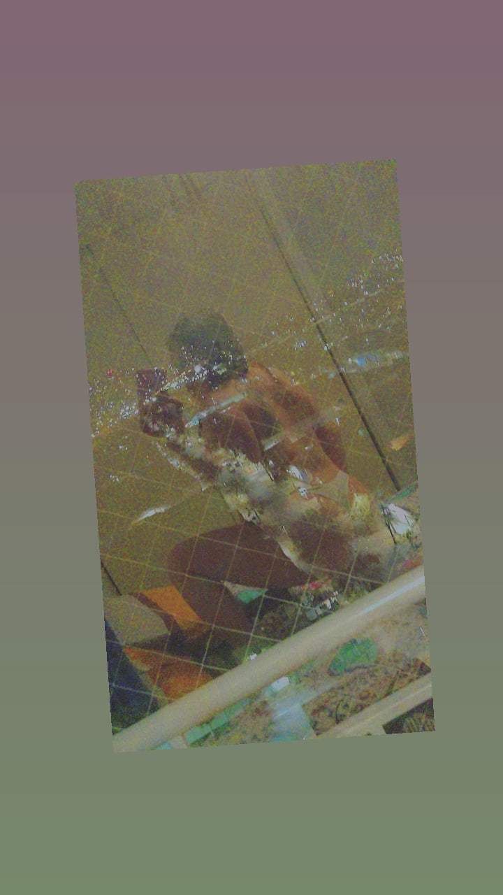 kittens6669 OnlyFans profile picture