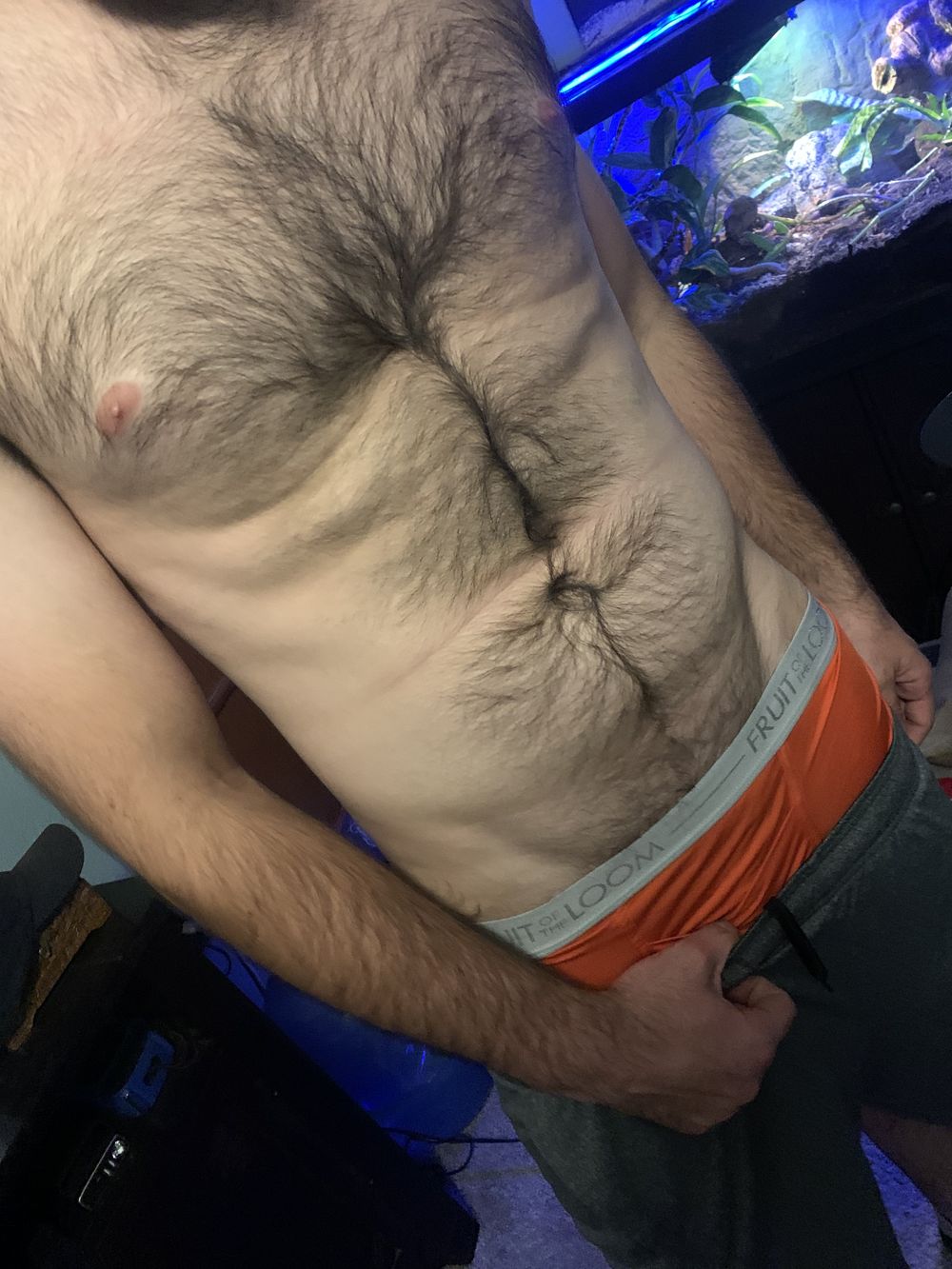 greybudz1 OnlyFans profile picture