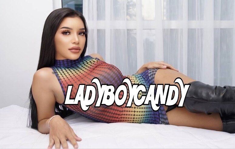 ladyboycandyvip OnlyFans profile picture