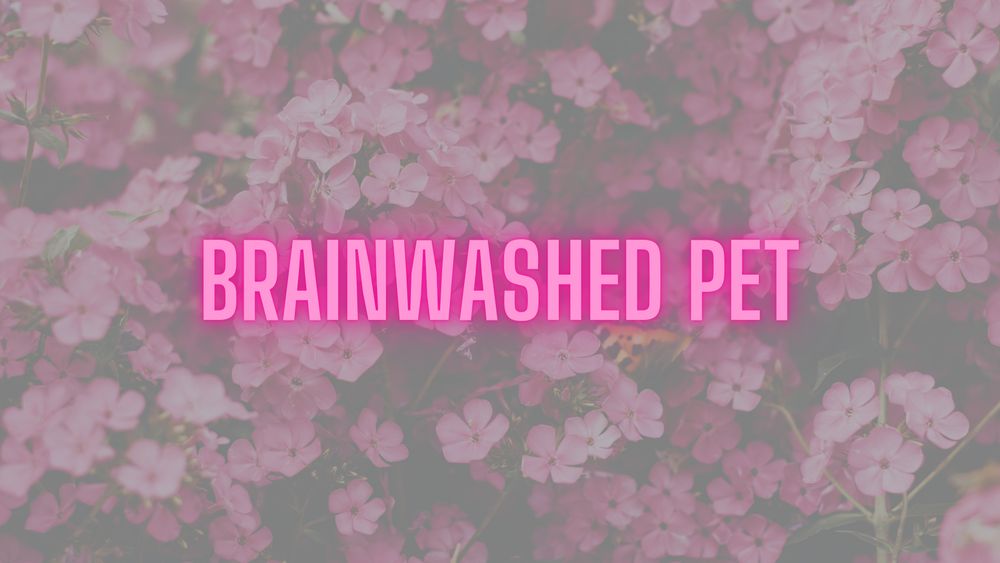 brainwashedpet OnlyFans profile picture