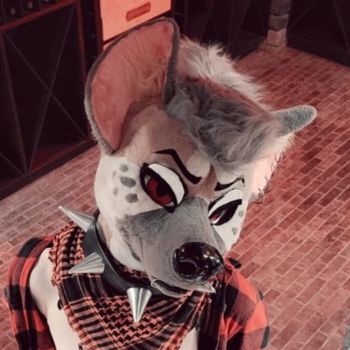 𖤐 Ryff Hyena 𖤐