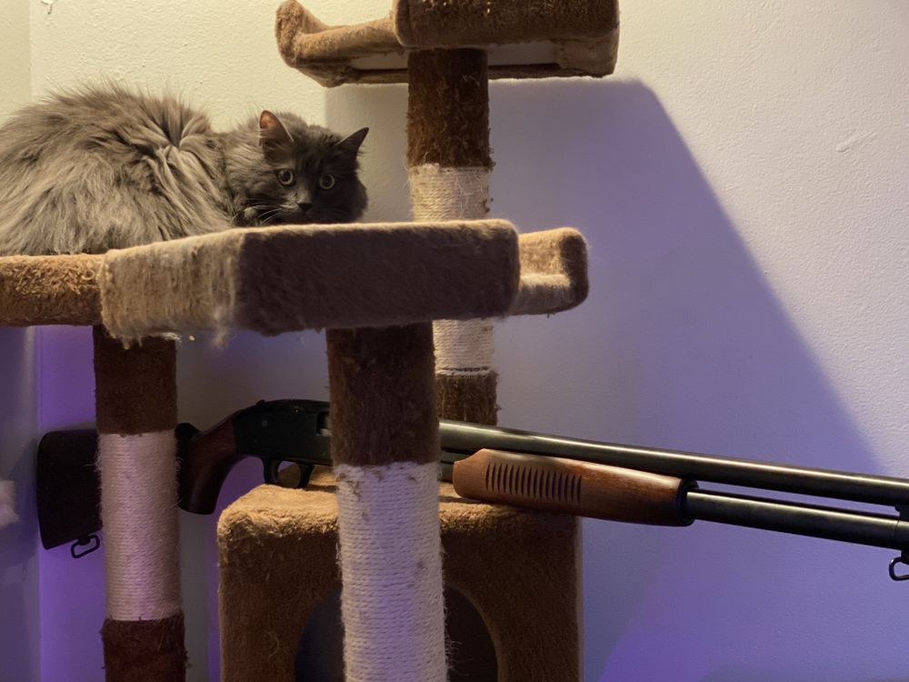 kacikitten21 OnlyFans profile picture