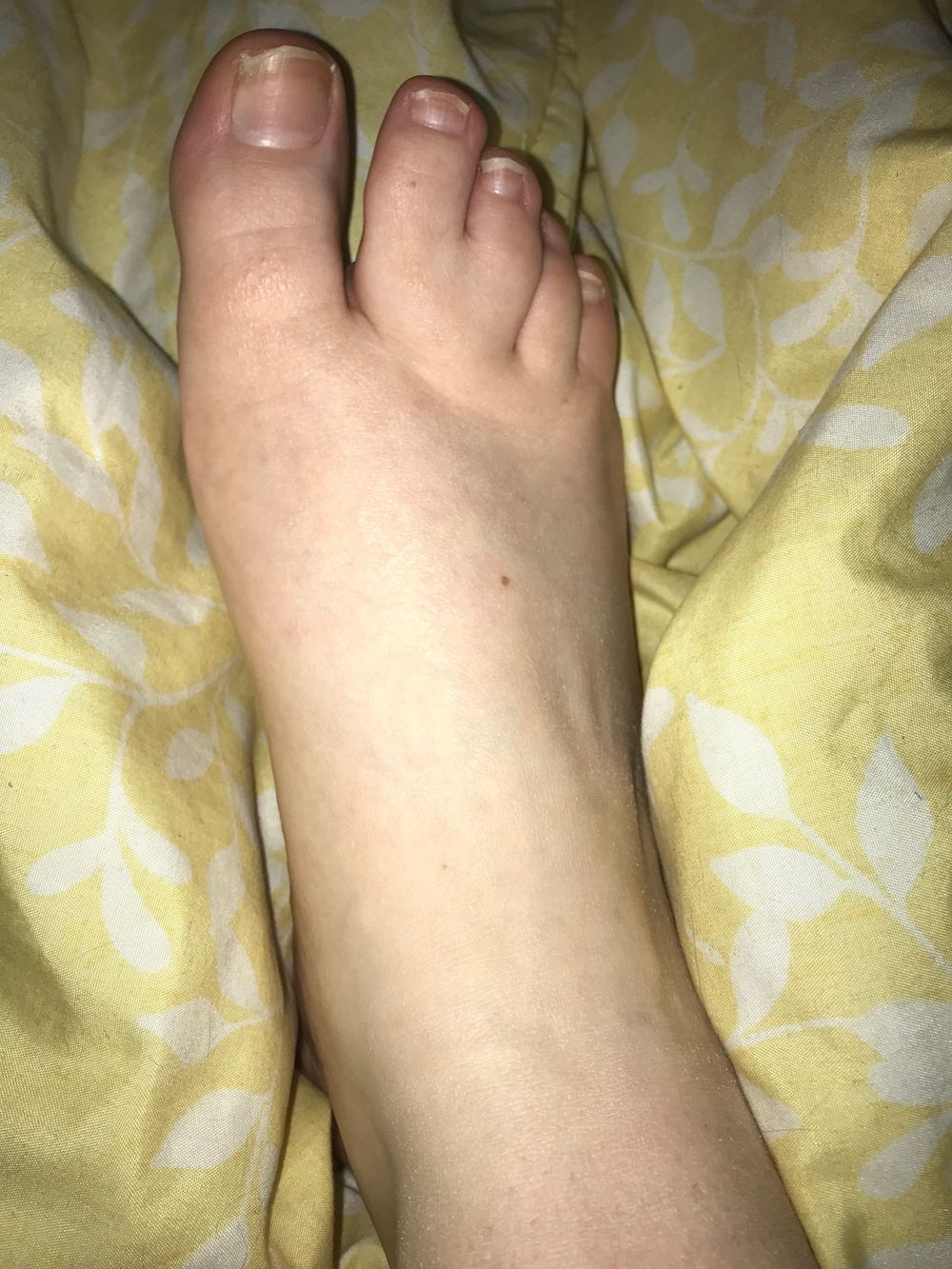 joystories OnlyFans profile picture