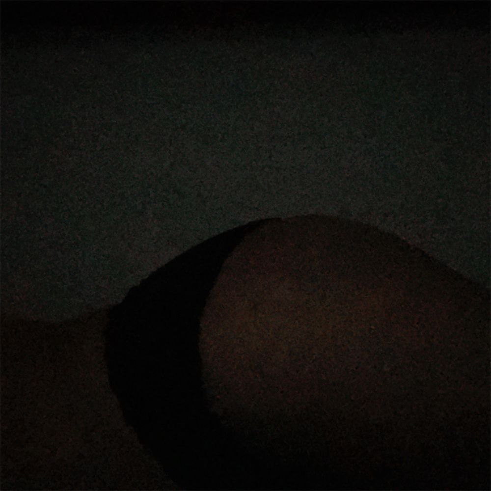 missequiss OnlyFans profile picture