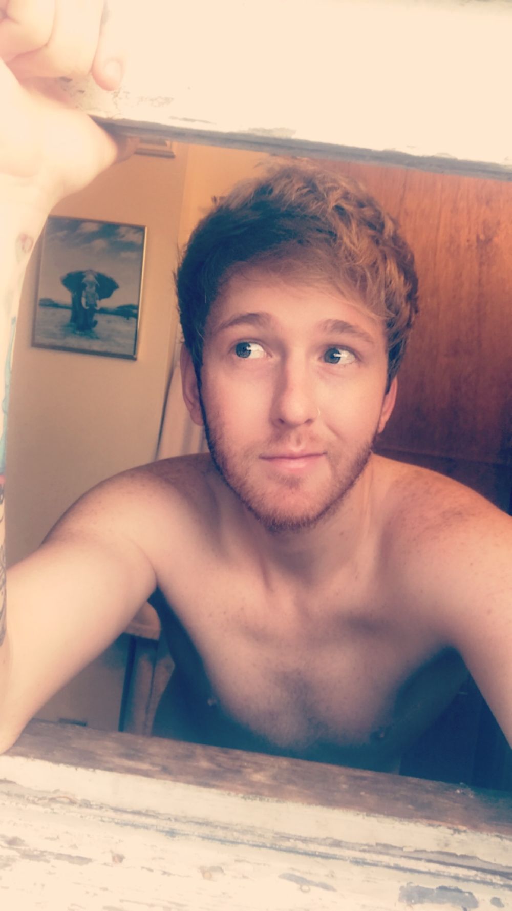 camdenjames9 OnlyFans profile picture