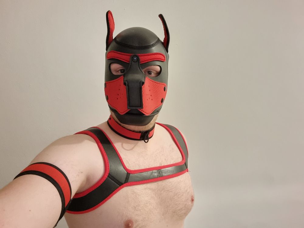 wet_phoenix OnlyFans profile picture