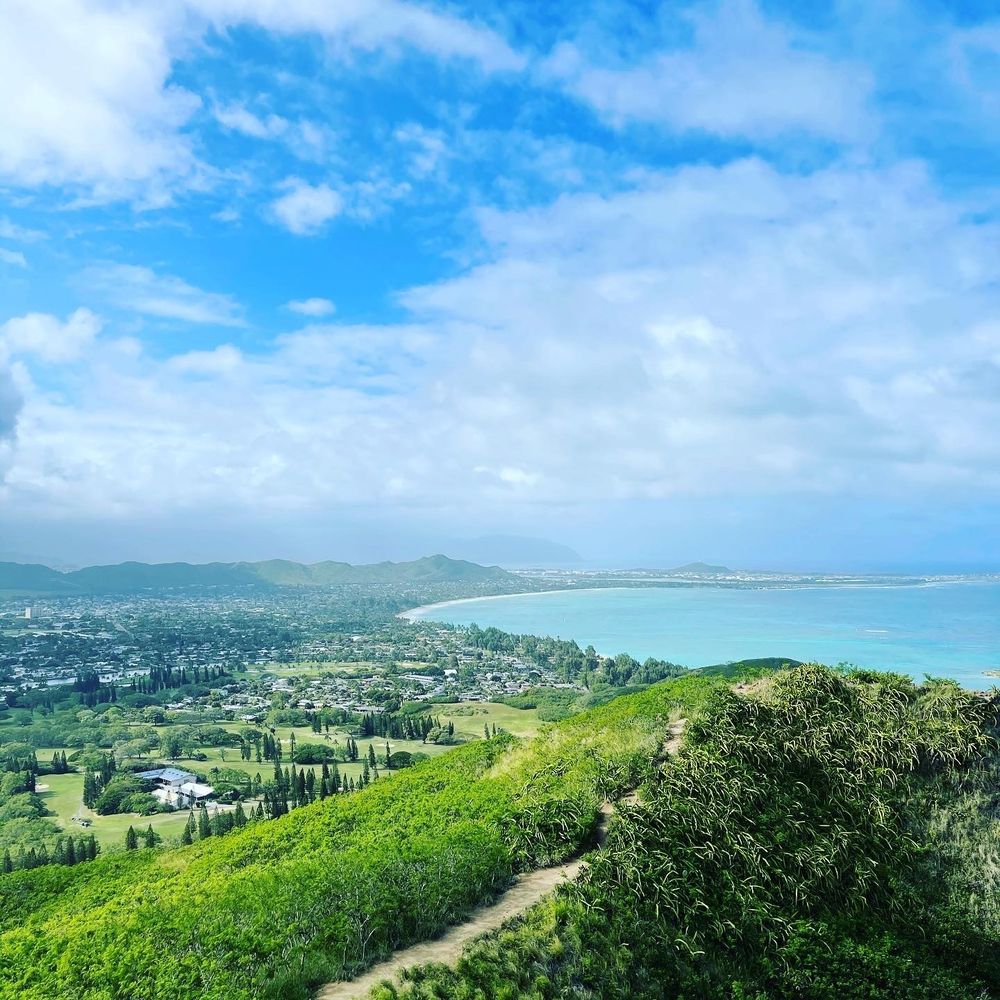 miketaisinhawaii OnlyFans profile picture