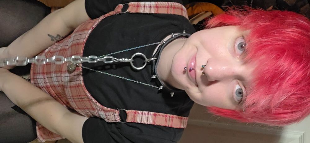 reiray OnlyFans profile picture