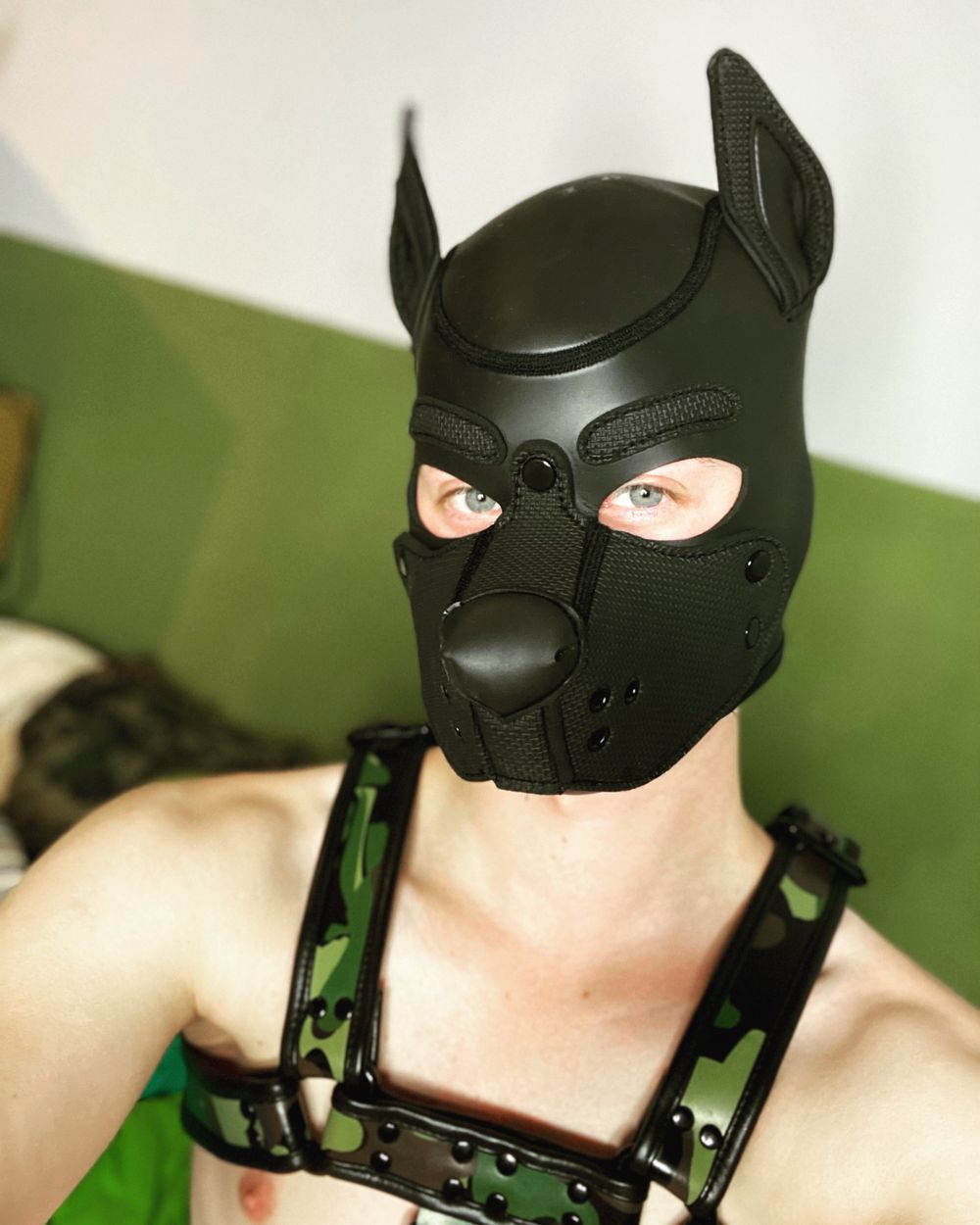 puppyzeus OnlyFans profile picture