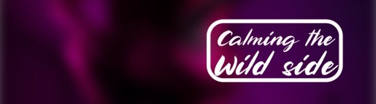 calmingthewildside OnlyFans profile picture