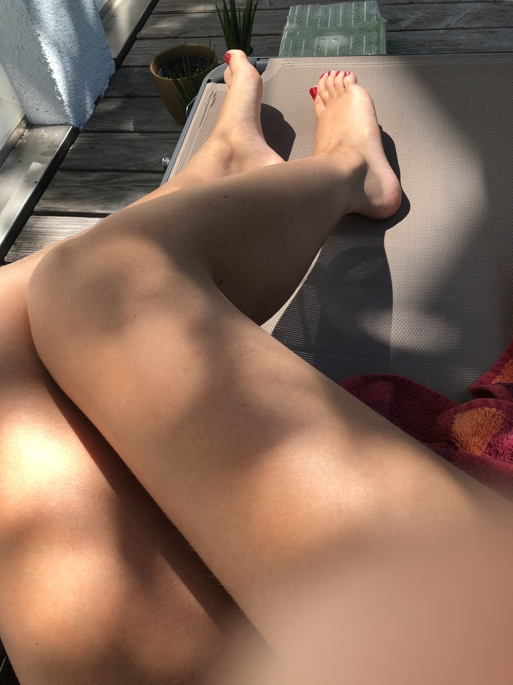 sophiafeetpics OnlyFans profile picture