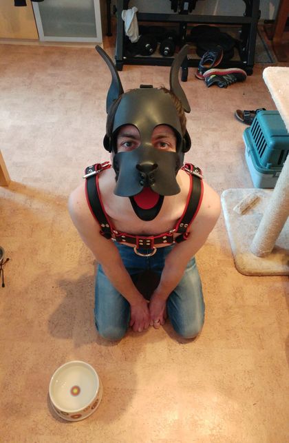 pupdexi OnlyFans picture