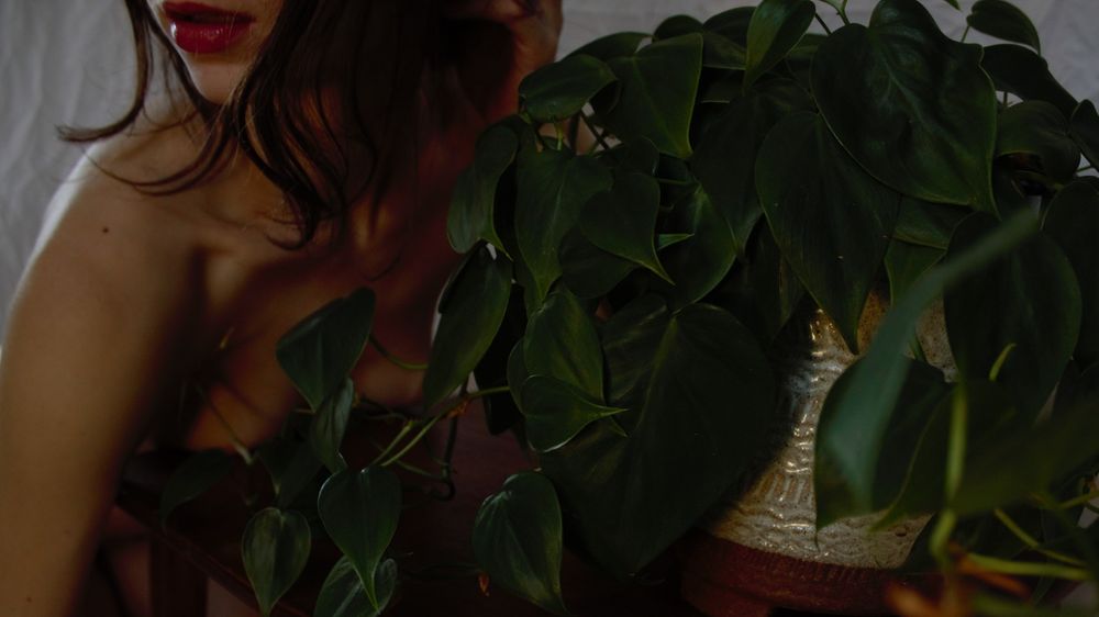abbylucy OnlyFans profile picture
