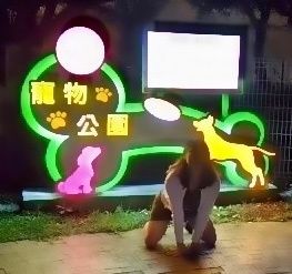玫瑰調教園|人型女犬畜生日記 Human Livestock Life