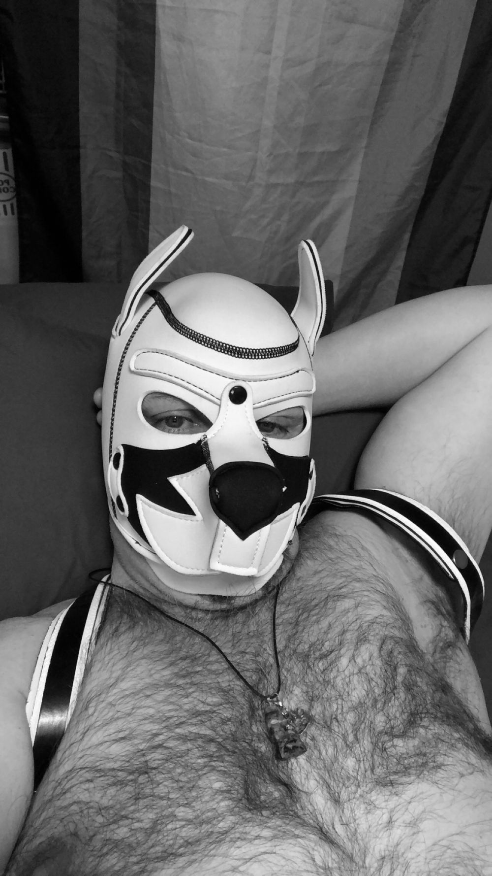 doopup OnlyFans profile picture