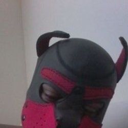 pupjasper4 OnlyFans picture