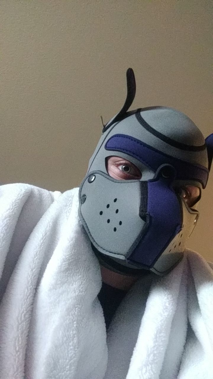 olliecomics OnlyFans profile picture