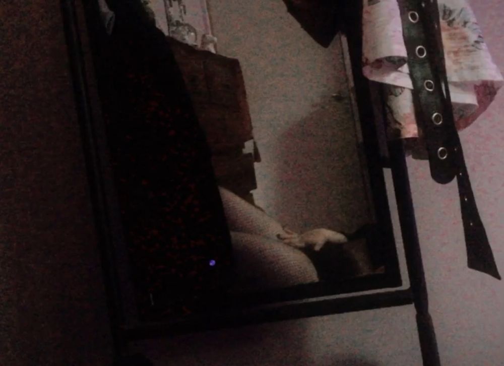 thicccydoll OnlyFans profile picture
