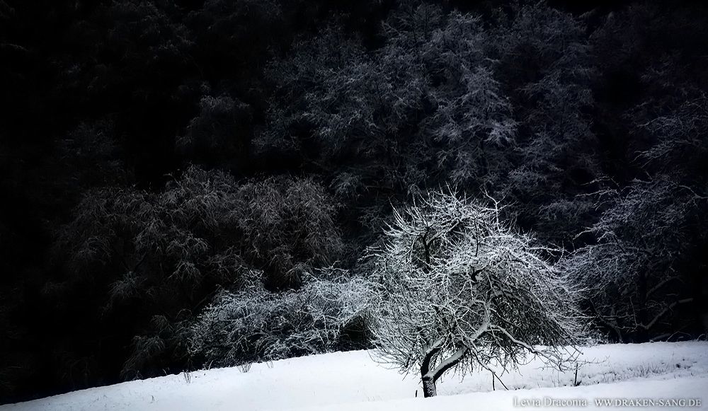 snowbyte OnlyFans profile picture