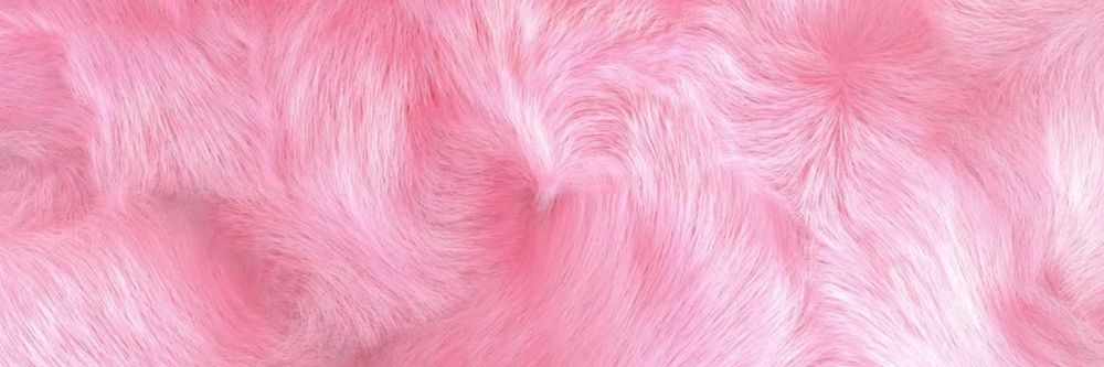 only_bunnies OnlyFans profile picture
