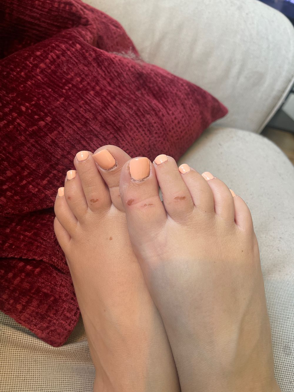 redrose_96 OnlyFans profile picture