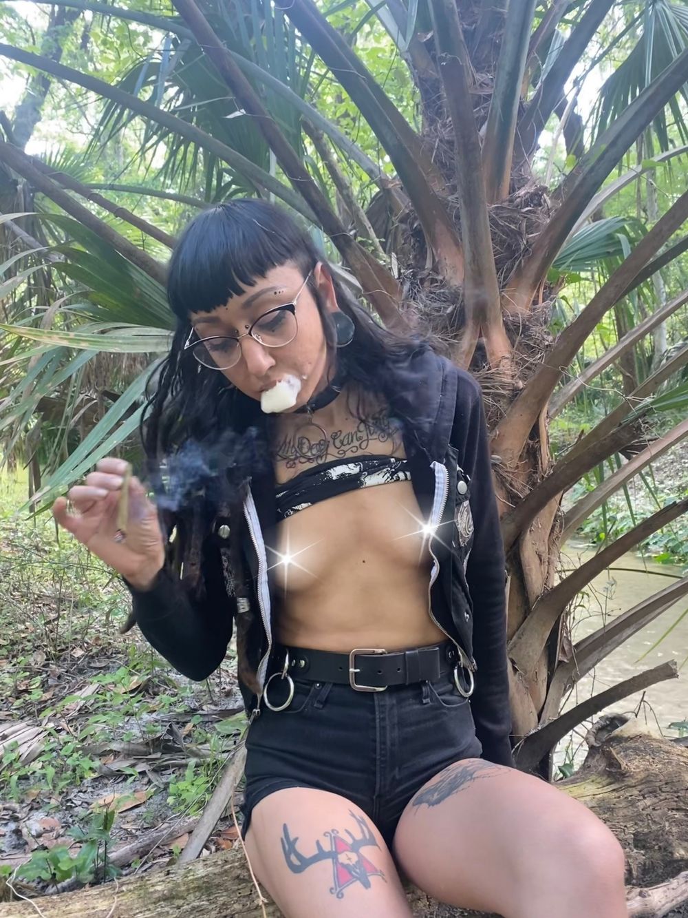 zorra1312 OnlyFans profile picture