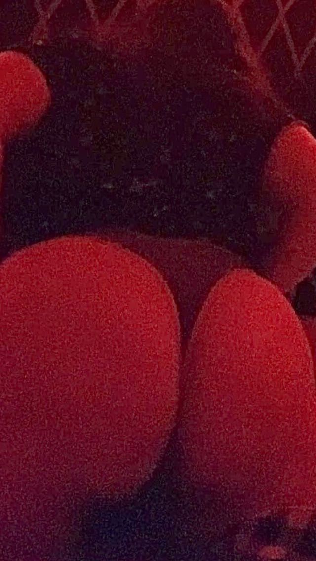 haileyglen OnlyFans profile picture