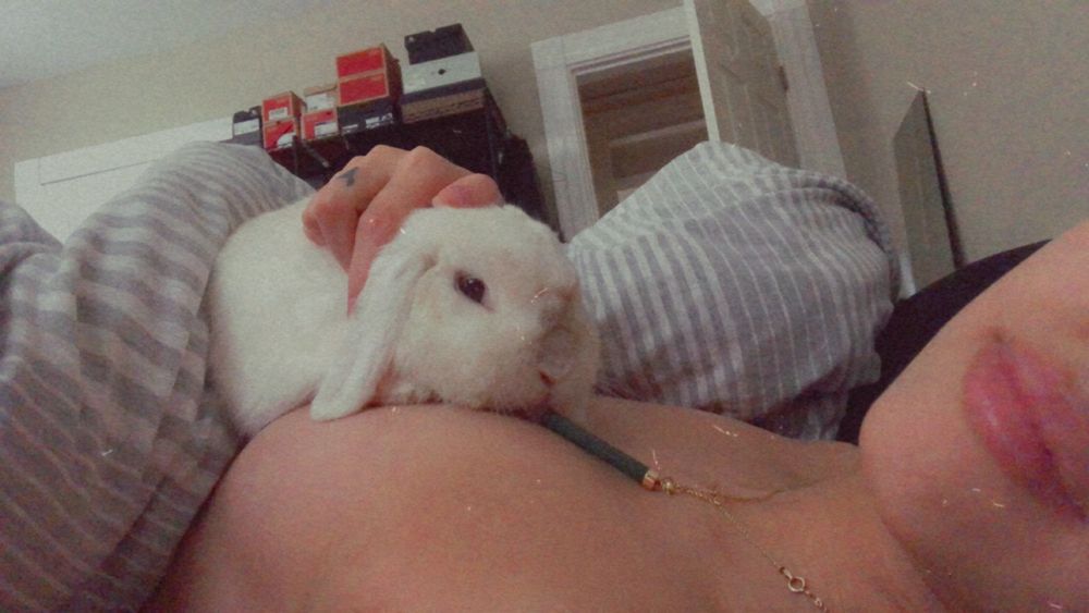 bunniefeetish OnlyFans profile picture
