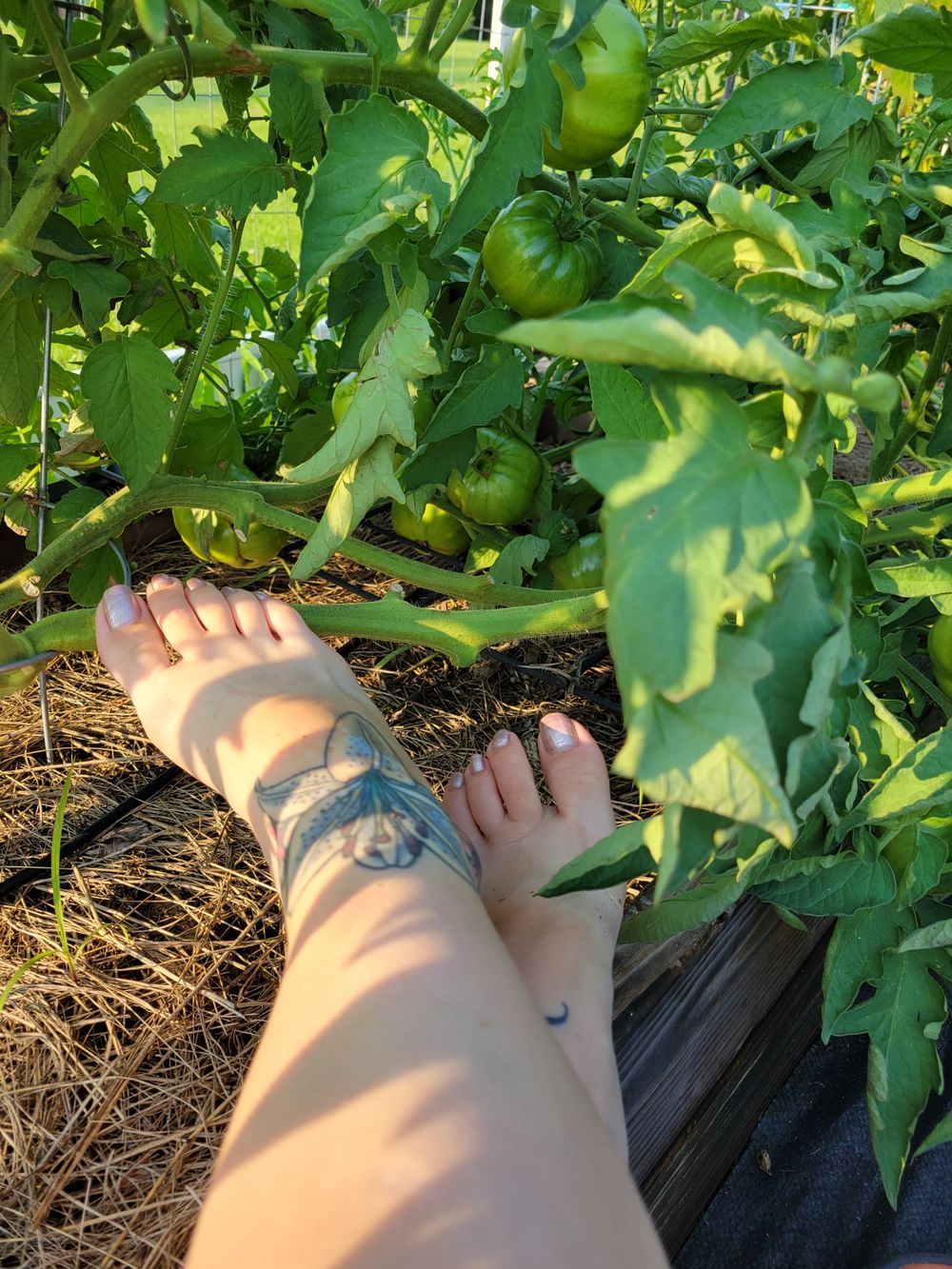 barefootinthegarden OnlyFans profile picture