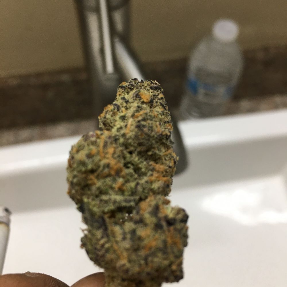 hazeboii420 OnlyFans profile picture