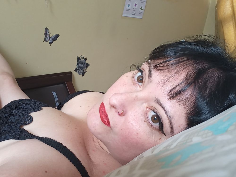porcelain.dolll OnlyFans profile picture