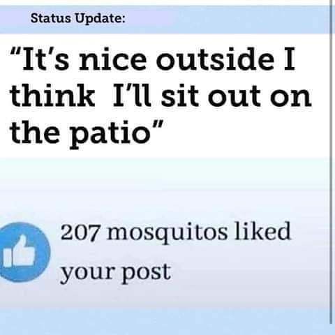 mtpockets187 OnlyFans profile picture