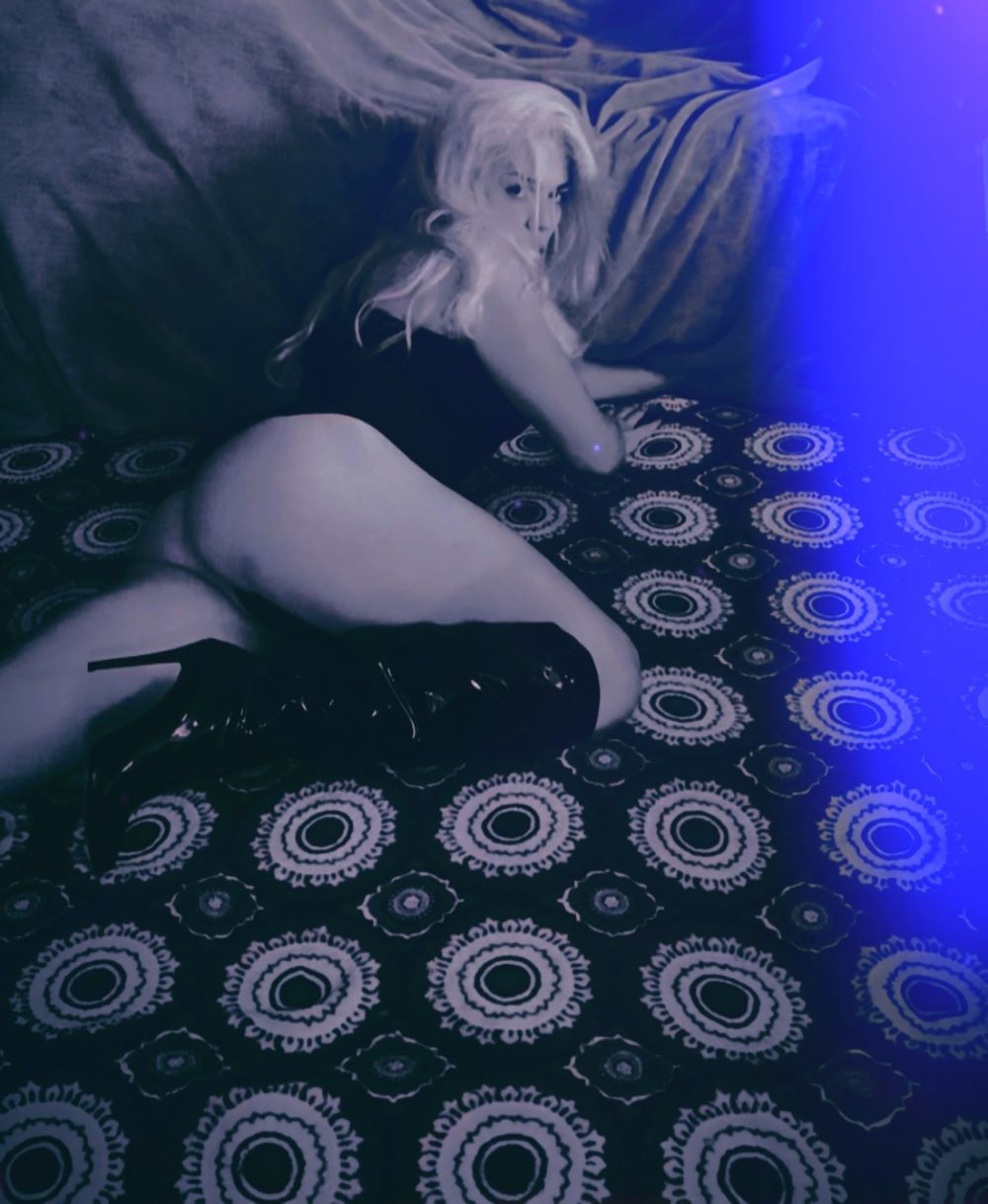 ivytheshowgirl OnlyFans profile picture