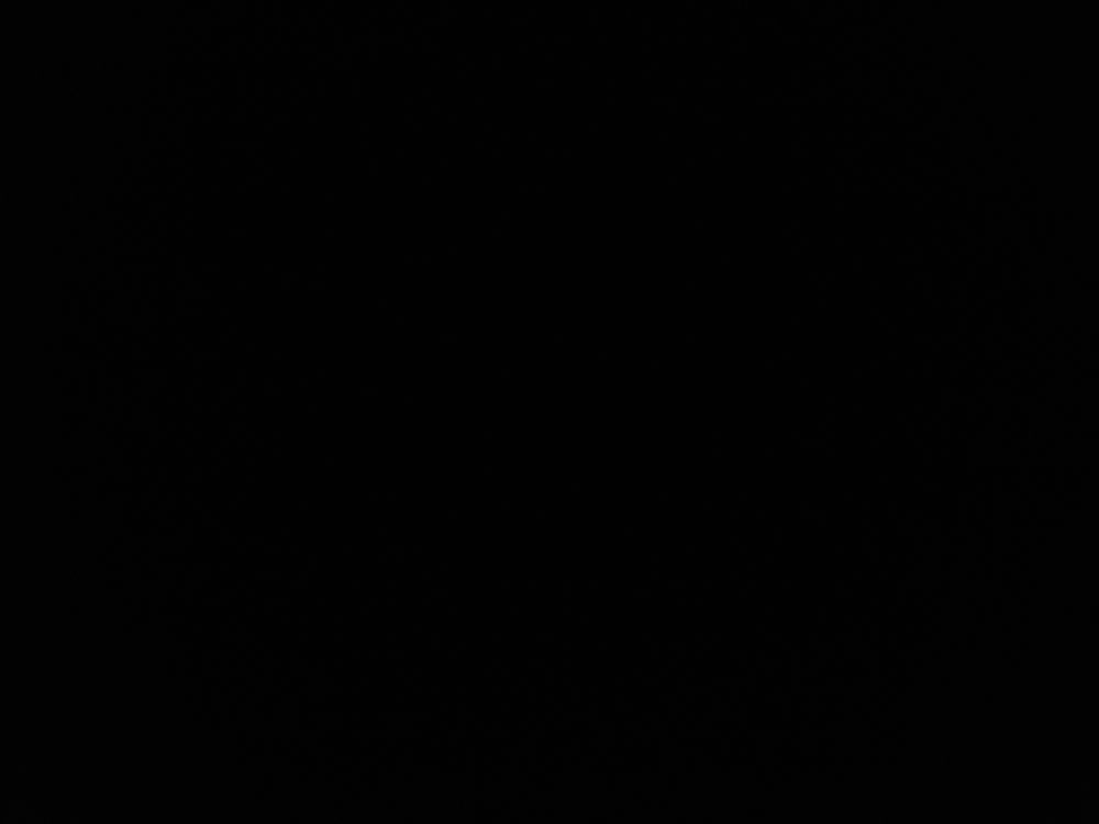 ridiculousriddle OnlyFans profile picture