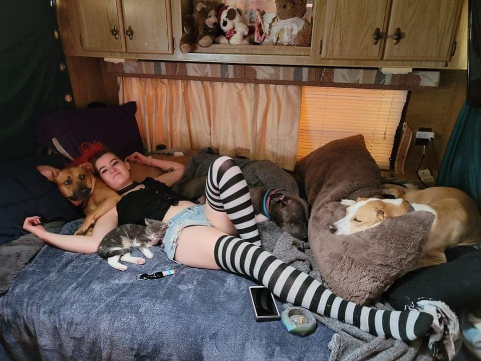 kisaneko OnlyFans profile picture