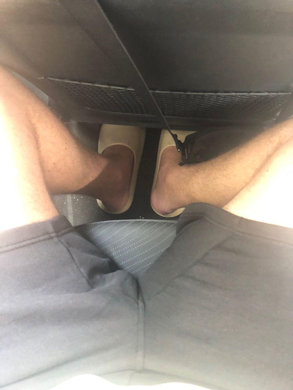 ryansbigpeen OnlyFans profile picture