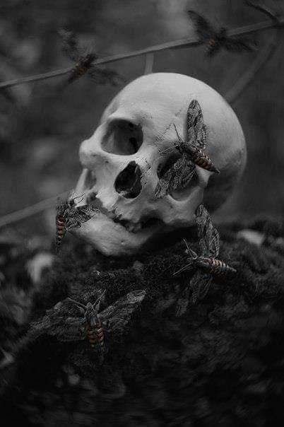 skeleton0queen OnlyFans profile picture